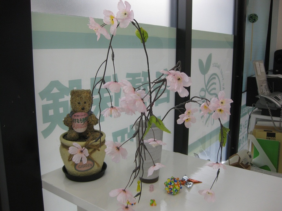 春よ来い!!|名古屋市中川区のあすなろ接骨院のおもしろ日記