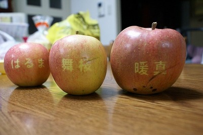 りんご|口コミで話題のワハハ記録をご紹介。名古屋市熱田区のぱんち接骨院
