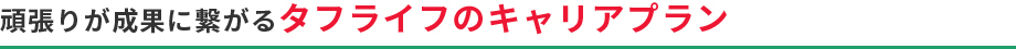 頑張りが成果に繋がるタフライフのキャリアプラン